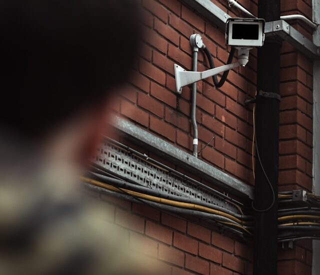 Télésurveillance